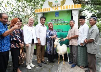 Bupati Sleman Serahkan Bantuan Hewan Ternak Guna Pengembangan Unit Usaha BUMKal Kabupaten Sleman