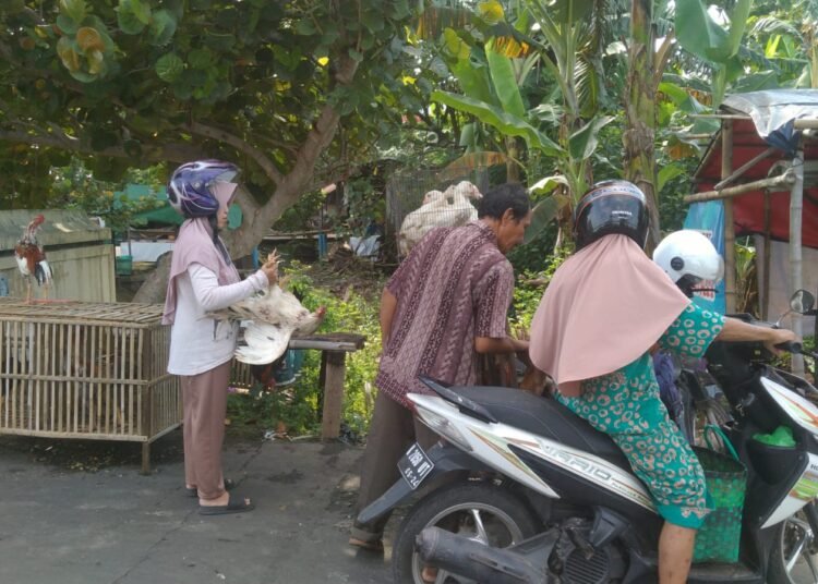 Suasana pasar ayam kampung dan entok yang ramai menjelang Lebaran