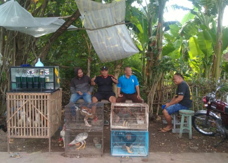 Suasana pasar ayam kampung dan entok yang ramai menjelang Lebaran