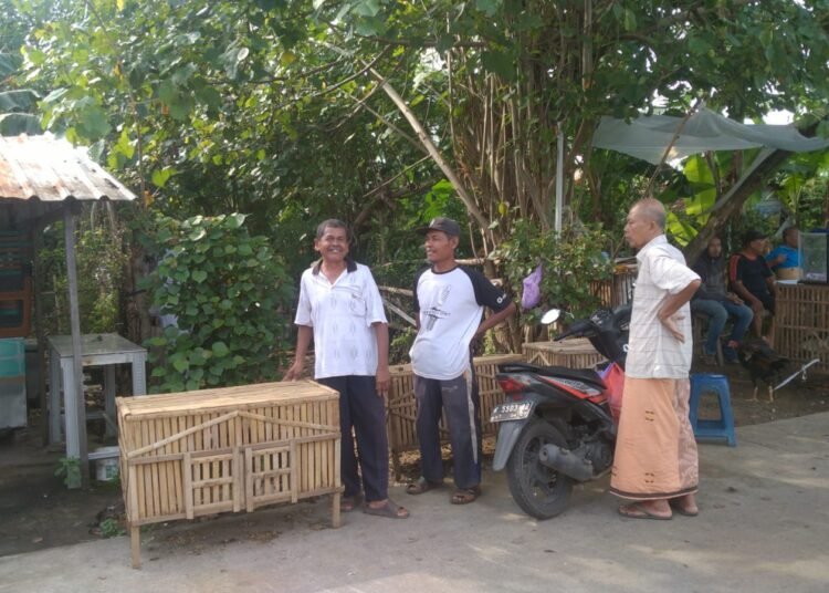 Interaksi antara pedagang ayam kampung dan pembeli