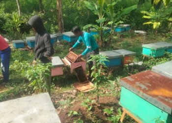 Suyitno, Pionir Belajar Mandiri dari Youtube yang Sukses  Mengembangkan Usaha di Gunung Wungkal