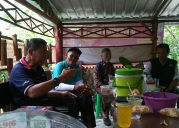 Beternak Ayam Kampung Sebagai Solusi Hidup Sehat