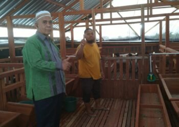 Menggali Hikmah dari Peternakan Domba dan Perkebunan di Mijen Demak milik seorang santri di Mijen Demak