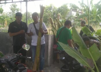 KUB An-Nur Banana garden Dorong Petani Demak Hasilkan Cuan dari Pisang, Peluang Usaha Hingga Olahan Pasar Modern