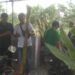 KUB An-Nur Banana garden Dorong Petani Demak Hasilkan Cuan dari Pisang, Peluang Usaha Hingga Olahan Pasar Modern