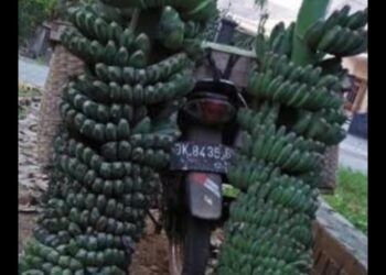 Ngopi: Ngolah Pikir Ala Kolosubo, Merajut Kebersamaan dan Ide Kreatif di Kota Gusjigang Kudus