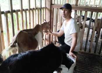 Ustadz Noeryoso, Menghidupkan Nilai-Nilai Islam Lewat Pertanian dan Peternakan