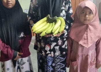 Santri Cahaya Semesta Salam: Mengaji, Bertani, dan Menjadi Calon Petani Kaya