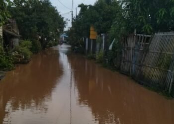 Banjir Rendam Dukuh Krobok, Desa Gadingrejo: Warga Diminta Tidak Membuang Ranting ke Sungai