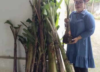 Gema Pancawati, SH., MH.: Pengacara Legendaris yang Berperan dalam Ketahanan Pangan Nasional