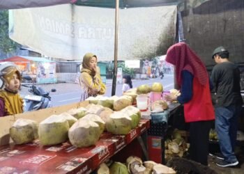 Diburu Ratusan Pembeli! Kelapa Muda Mas Yoyok Bikin Antrean Panjang, Omzet Tembus Jutaan Per Hari
