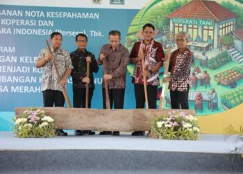 Sleman Menjadi Role Model Program Kemenkop RI; Gapoktan Menjadi Badan Usaha Koperasi