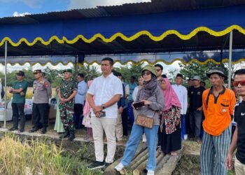 Dukung Program Swasembada Pangan Nasional, Wabup Sleman Pimpin Panen Raya Padi