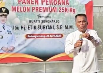 Sukoharjo Genjot Swasembada Pangan Nasional Lewat Peningkatan Produktivitas dan Peran Petani Milenial