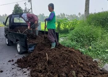 Gerakan Nabung Pisang, Ayam, Domba, dan Waluh: PCM Salam Gencarkan Pemberdayaan Ekonomi Umat