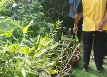 Dakwah Temu Tani: Kembali ke Akar, Menuju Kemandirian Umat