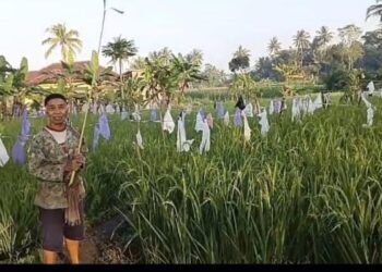 Jumat Berkah di Kadipolo Salam, Tadabur Alam, Tegur Sapa, dan Edukasi Petani 