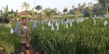 Jumat Berkah di Kadipolo Salam, Tadabur Alam, Tegur Sapa, dan Edukasi Petani 