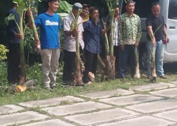 Ide Cerdas PCM Bandongan, Temu Tani & Ngopi Bareng Wujudkan Ketahanan Pangan Jamaah