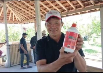 MPPPI dan Jejaring DeWi Kolaborasi Tingkatkan Pengelolaan Kohe Babi dan Pupuk Organik di Desa Wisata Pukuh Susut Bangli