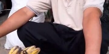 Dari Lahan Biasa Jadi Luar Biasa, Kepok Tanjung Bukti Pisang Unggulan Penuh Berka