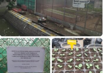 Uji Penelitian Tembakau Lokal di Greenhouse Universitas Sebelas Maret Jadi Bahan Kajian Kru P2RPTI
