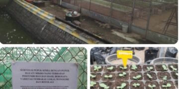 Uji Penelitian Tembakau Lokal di Greenhouse Universitas Sebelas Maret Jadi Bahan Kajian Kru P2RPTI