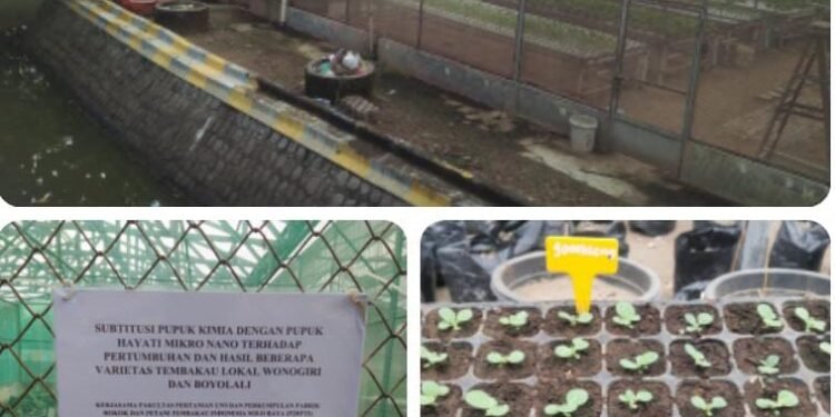 Uji Penelitian Tembakau Lokal di Greenhouse Universitas Sebelas Maret Jadi Bahan Kajian Kru P2RPTI
