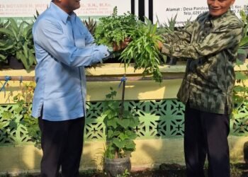 Dari Audiensi ke Aksi, Dr. Carto Tinjau Kebun Organik An Naba, Perkuat Visi dari Hati ke Hati