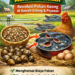 Dari Hama Menjadi Berkah” — Revolusi Pakan Keong di Sawah Gulang & Payaman Kudus (Oleh: Rochmad Taufiq)
