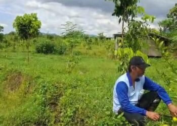 Wakaf Produktif Berbasis Ekologi: Lahan 4.300 m² Disiapkan Jadi Pusat Belajar Kebun Terpadu di Magelang
