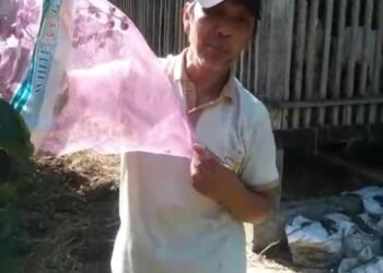 PCM Muhammadiyah Bandongan Magelang Kembangkan Kawasan Pertanian Terpadu Berbasis Ekosistem