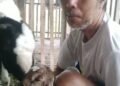 Inovasi Peternakan di Magelang: Ustadz Nuryoso Sukses Kembangkan Kualitas Kambing Lokal