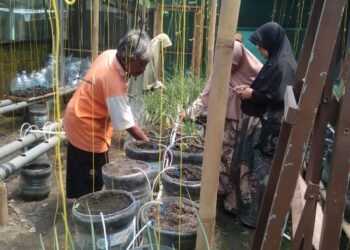 PCM Badongan dan PCM Salam Bersinergi Bangun Ketahanan Pangan Keluarga