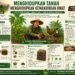 Menghidupkan Tanah, Menghidupkan Kemandirian Umat