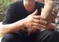 Panen Gembili hingga Jagung Madura, Gerakan Pangan Lokal Kian Menguat sebagai Solusi Ketahanan Pangan